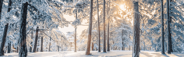 Cómo abordar la piel seca este invierno
